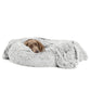 Calming Throw: sizing reference next to a dog