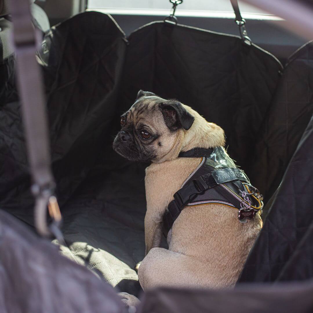 Waterproof Dog Car Seat Cover: alternate color option