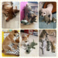The Original InvinciPups Heavy Duty Chew Toy: inside parts and pieces