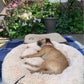 Calming Dog Bed: bed in a living room setting
