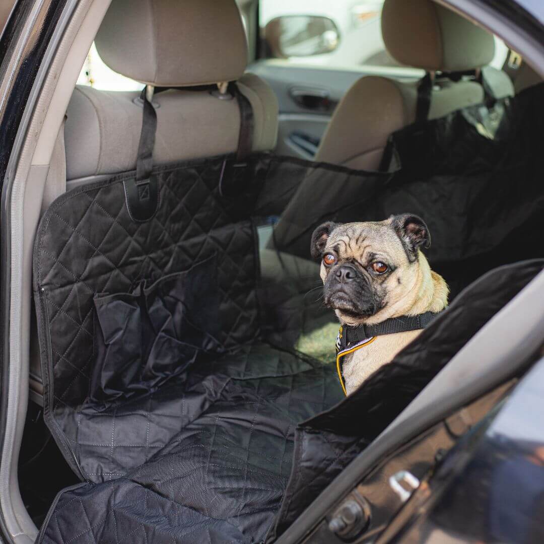 Waterproof Dog Car Seat Cover: product overview