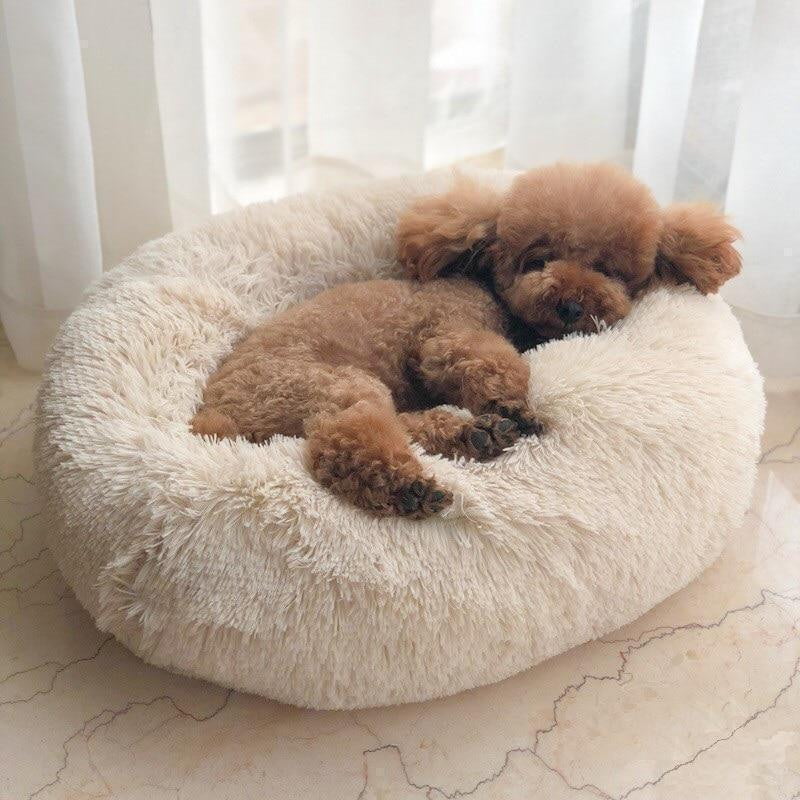 Calming Dog Bed: sizing reference next to a dog