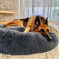 Calming Dog Bed: alternate color option