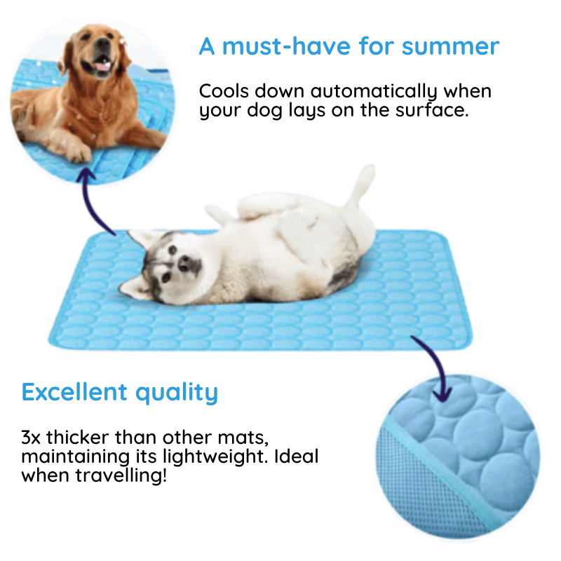 Self-Cooling Pet Mat: sizing reference next to a dog