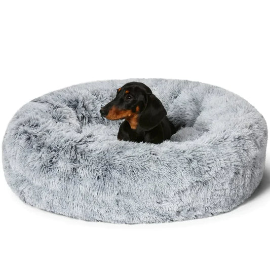 Calming Dog Bed: product overview