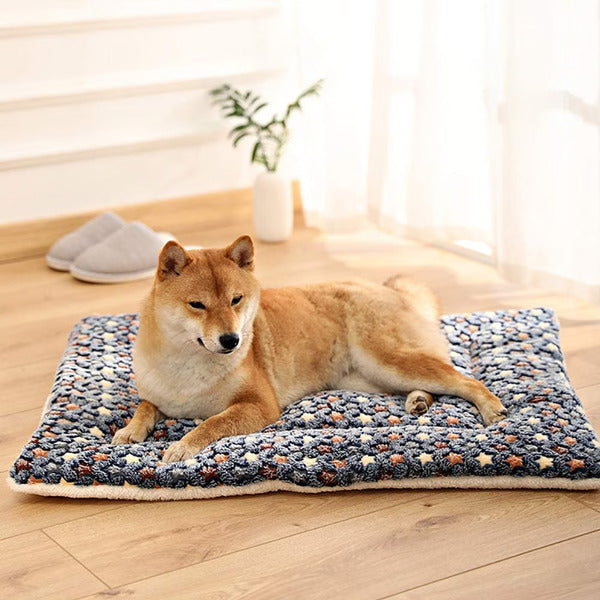 Calming Warm Dog and Cat Blanket: alternate color option