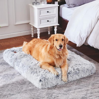 Orthopedic Memory Foam Dog Bed Pillow: sizing reference next to a dog