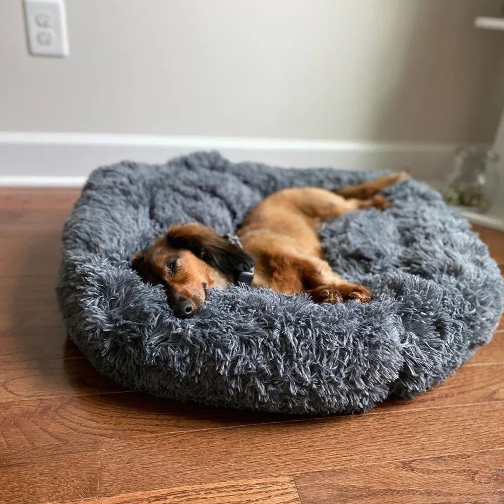 Calming Dog Bed: top-down view