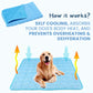 Pet Cooling Mat: dog resting on the bed