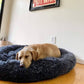 Calming Dog Bed: additional view 14