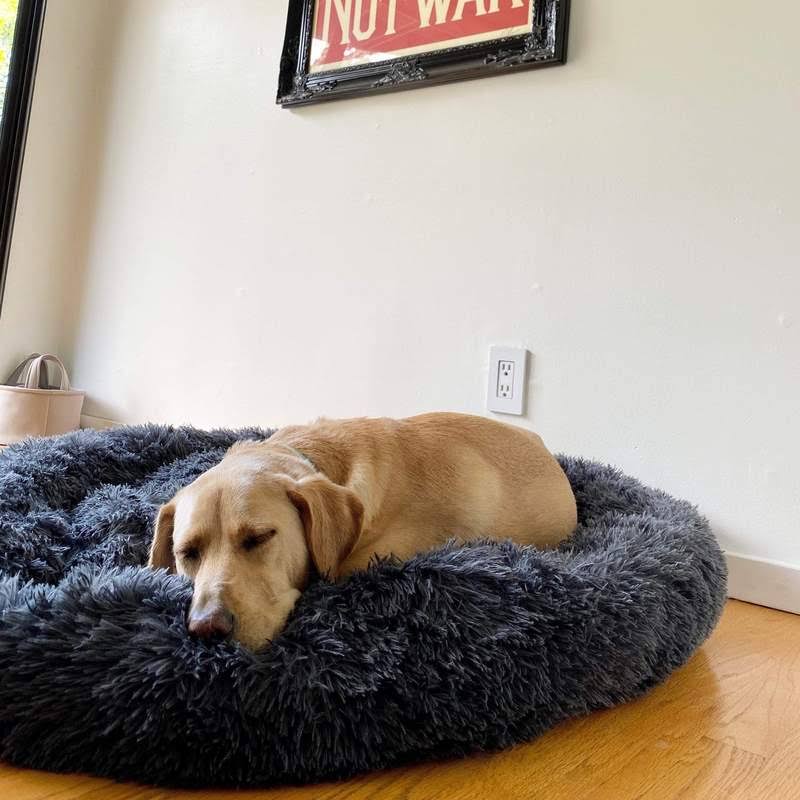 Calming Dog Bed: additional view 14