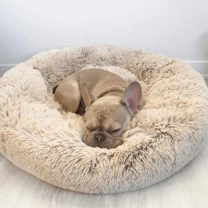 Calming Dog Bed: paw and head support detail