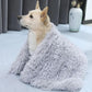 Fluffy Pet Blanket: dog resting on the bed