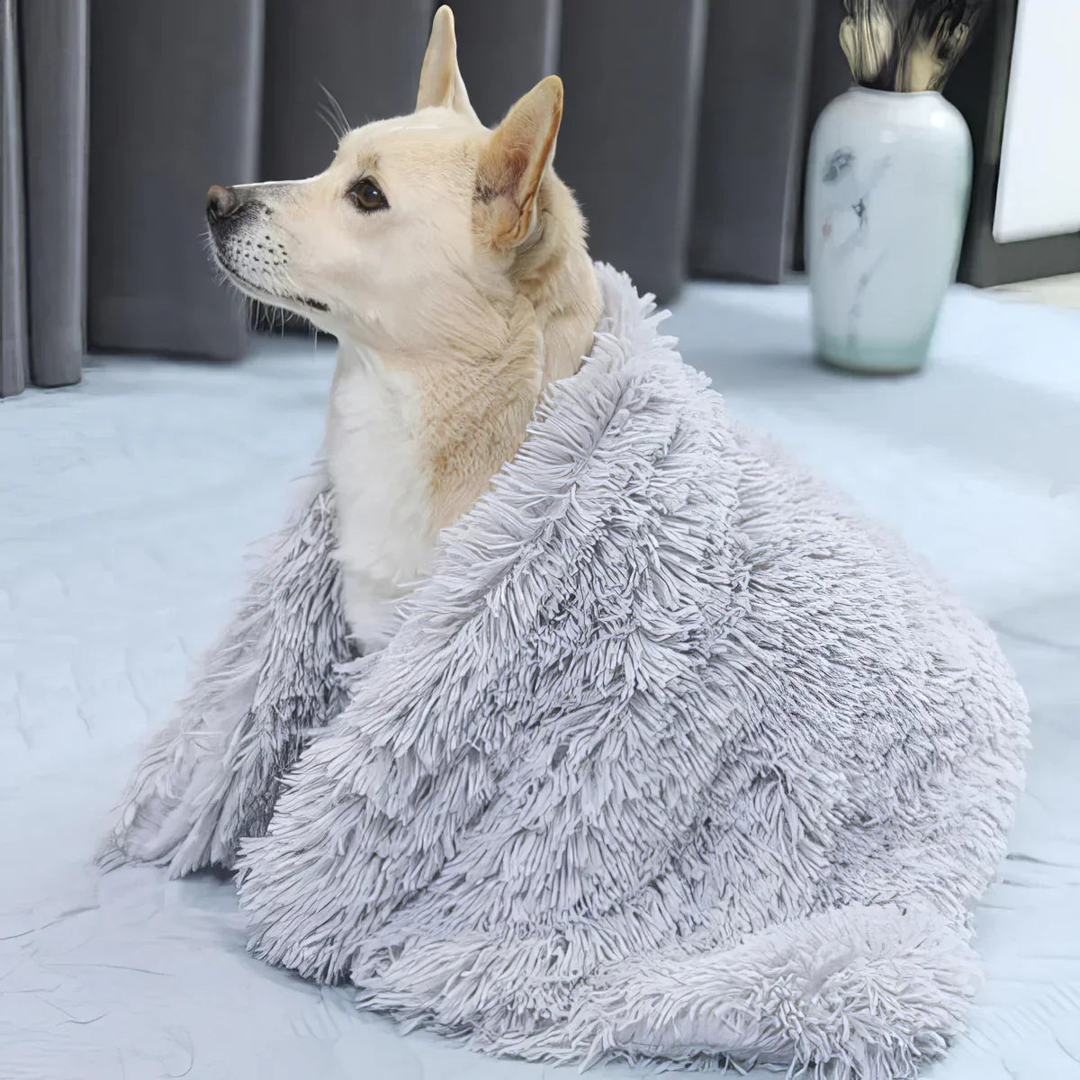 Fluffy Pet Blanket: dog resting on the bed