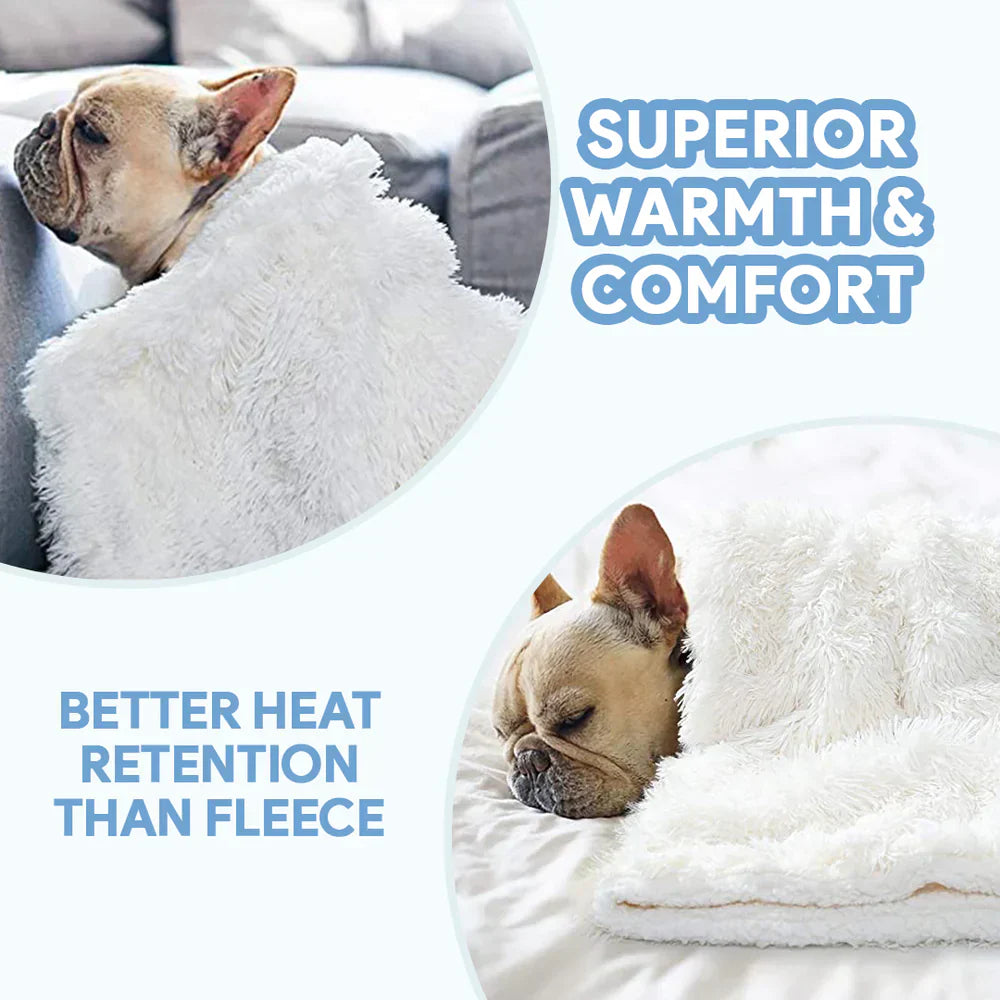 Fluffy Pet Blanket: sizing reference next to a dog