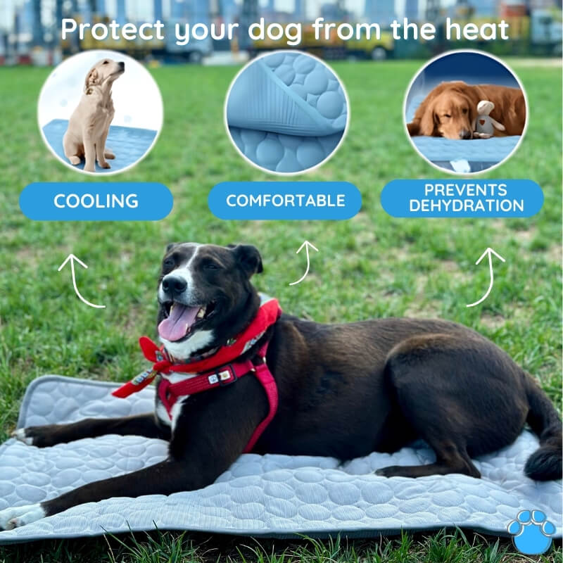 Self-Cooling Pet Mat: alternate color option