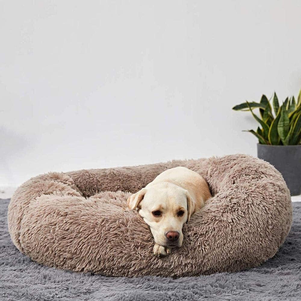 Calming Dog Bed: side profile view