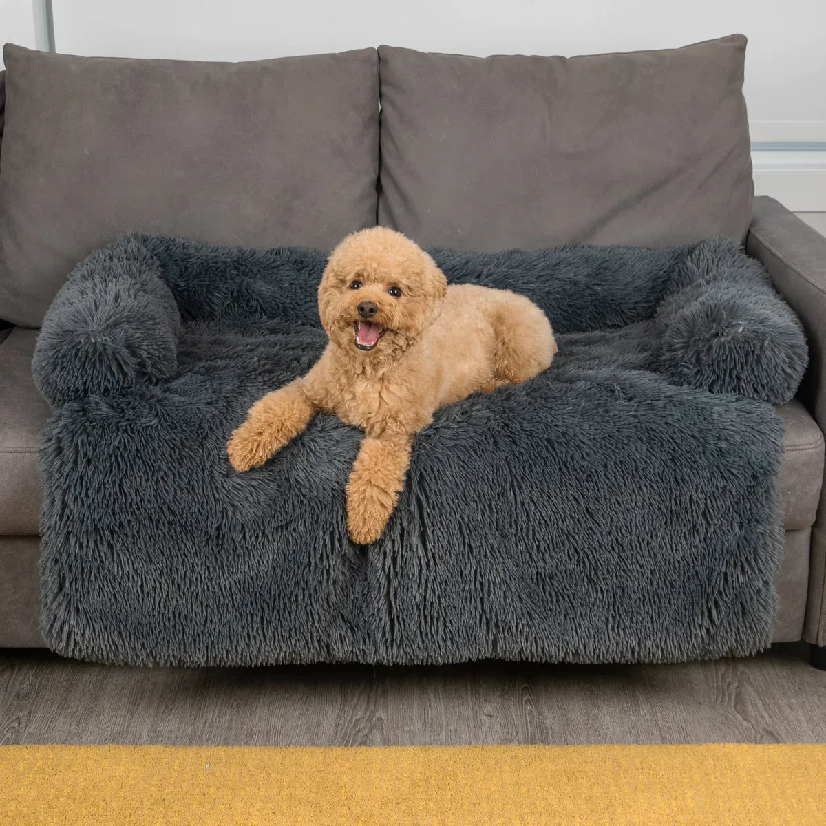Calming Dog Furniture Cover: sizing reference next to a dog