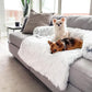 Calming Dog Furniture Cover: top-down view