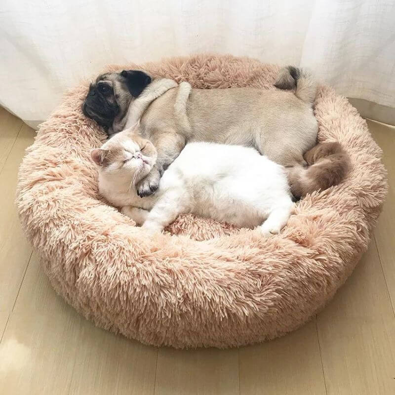 Calming Donut Cat Bed: product overview