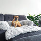 Calming Dog Furniture Cover: bed in a living room setting