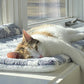 Calming Warm Dog and Cat Blanket: top-down view