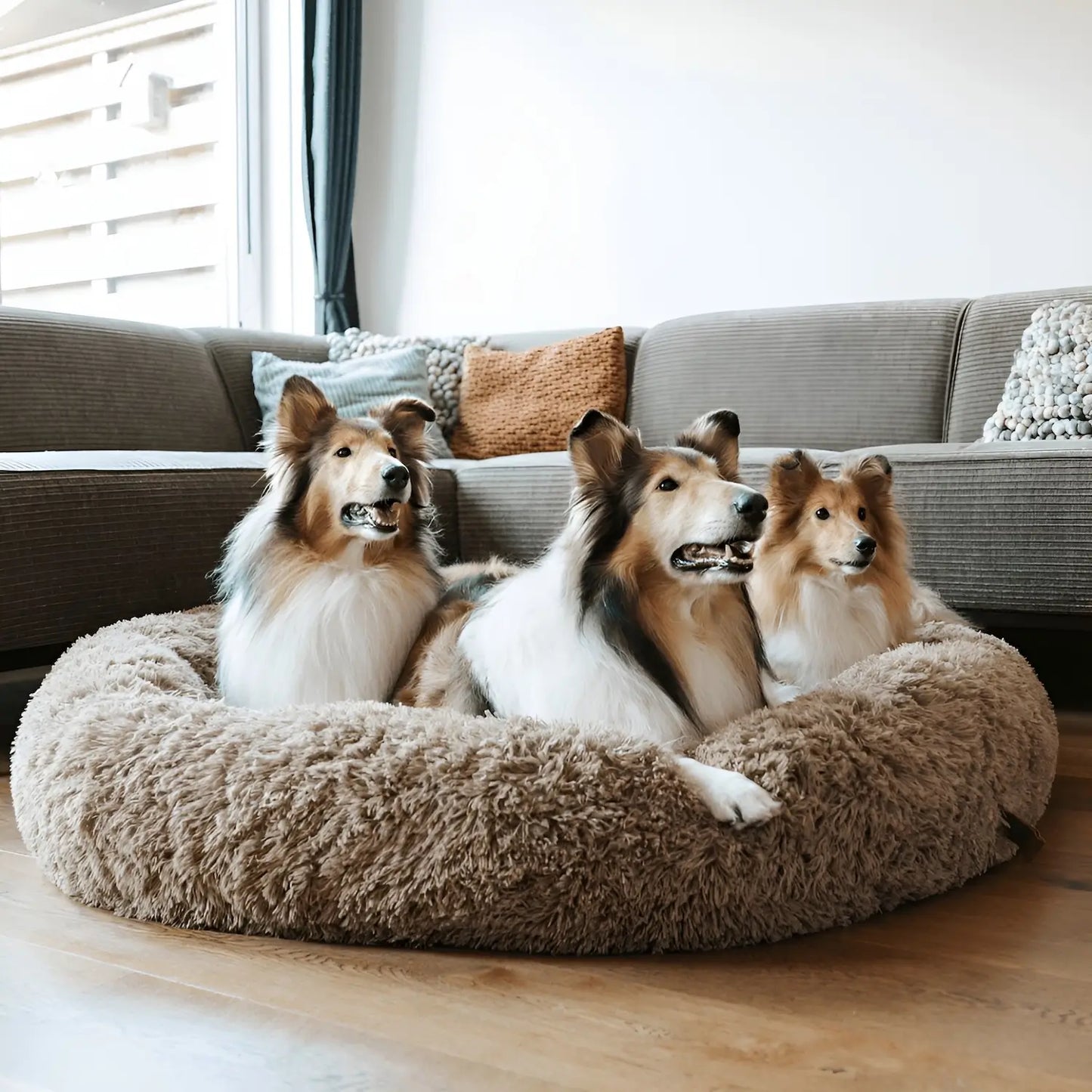 Calming Donut Dog Bed: plush fabric and stitching detail