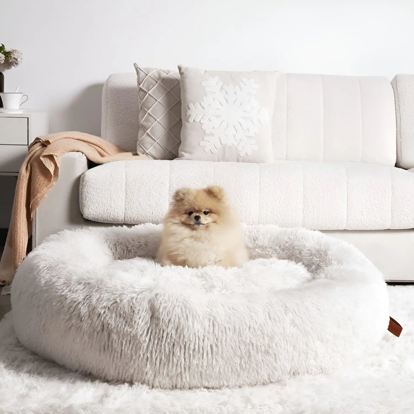 Calming Donut Dog Bed: sizing reference next to a dog