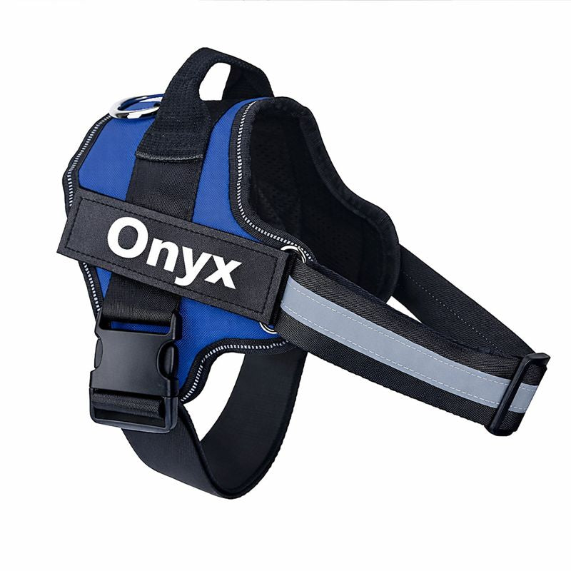 Custom No Pull Dog Harness: strap and buckle detail