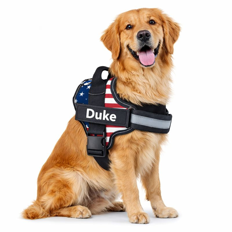 Custom No Pull Dog Harness: product overview