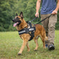 Custom No Pull Dog Harness: alternate color option