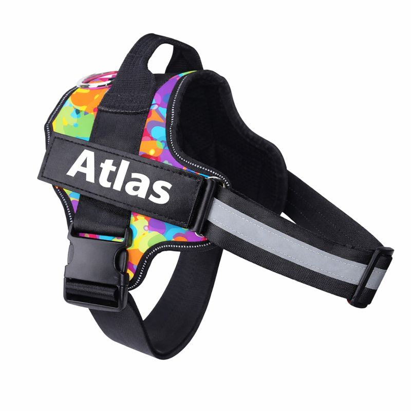Custom No Pull Dog Harness: D-ring and leash attachment view