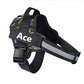 Custom No Pull Dog Harness: additional view 11