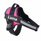 Custom No Pull Dog Harness: additional view 12