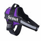 Custom No Pull Dog Harness: additional view 15