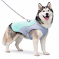 Dog Cooling Vest: plush fabric and stitching detail