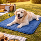 Cooling Dog Bed Mat: sizing reference next to a dog