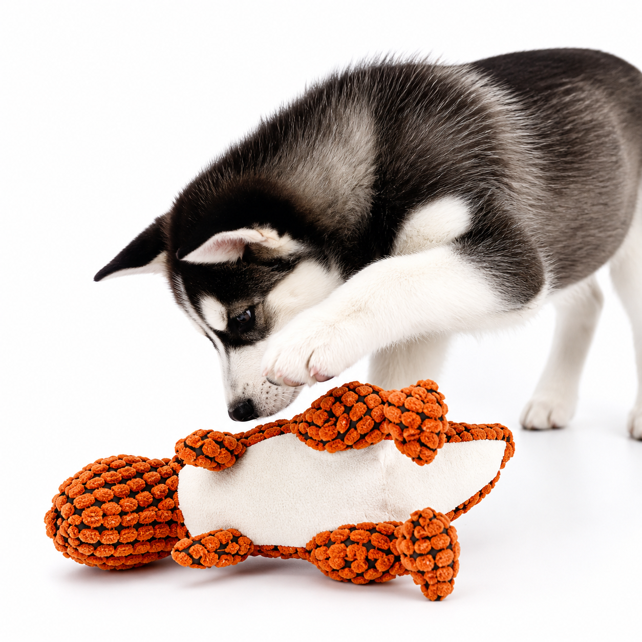 Indestructible Plush Dog Toy: top view