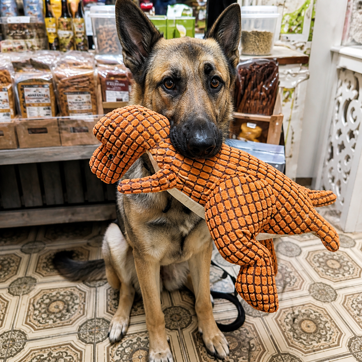 Indestructible Plush Dog Toy: alternate color option