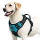 Comfort Control No Pull Dog Harness: product overview