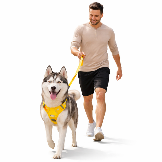 Reflective Adjustable Outdoor Dog Harness: product overview