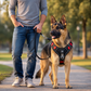 Premium Adventure Dog Harness: alternate color option