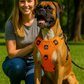 Comfort Control No Pull Dog Harness: chest panel detail