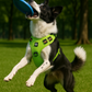 Comfort Control No Pull Dog Harness: sizing reference