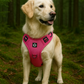 Comfort Control No Pull Dog Harness: top handle close-up