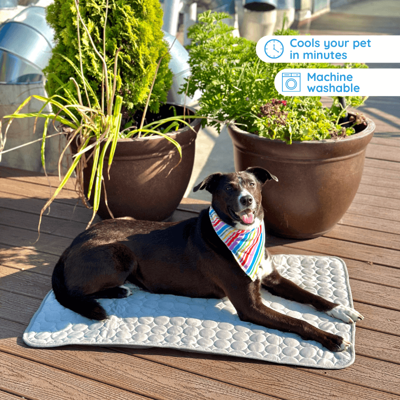 Self-Cooling Pet Mat: product overview
