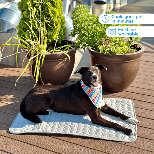 Self-Cooling Pet Mat: product overview