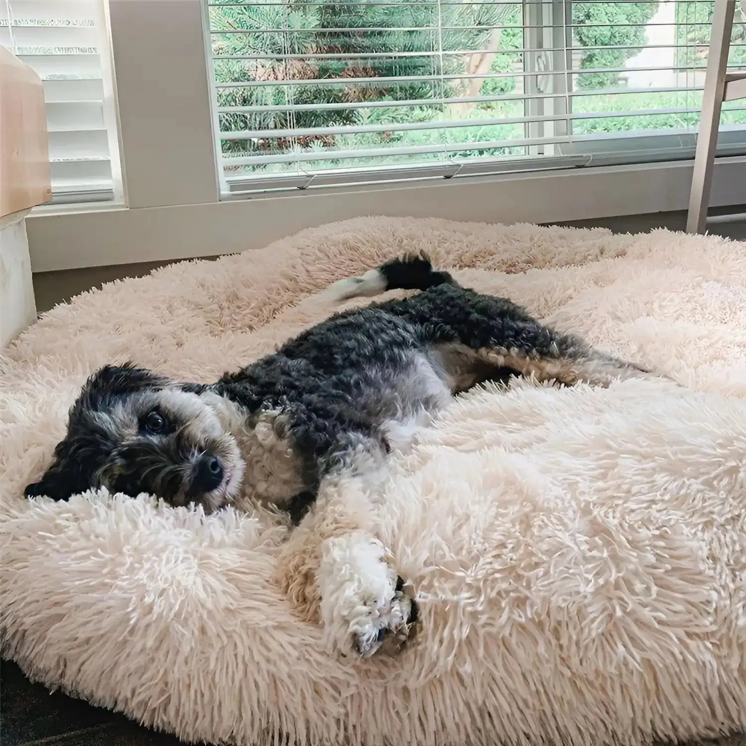 Calming Donut Dog Bed: product overview