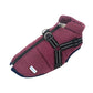 Dog Fleece Coat: fit on a dog