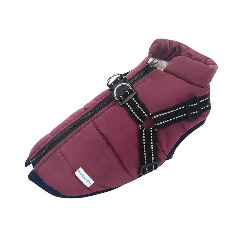 Dog Fleece Coat: fit on a dog